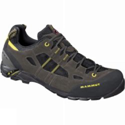 Mens Redburn Low Shoe